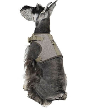 Martha Stewart Fashionable Tweed Dog Harness Grey Bowtie,XX-Small - Midtown Bargains