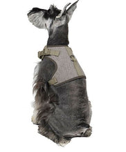 Martha Stewart Fashionable Tweed Dog Harness Mint Bowtie,XX-Small - Midtown Bargains
