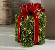 12" Illuminated Indoor/Outdoor Boxwood Present with Box by Valerie - Midtown Bargains