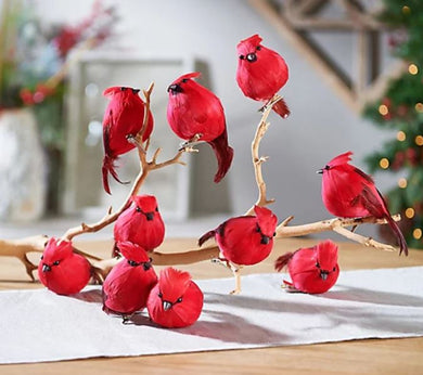 Set of 10 Decorative Cardinal Bird Clips by Valerie - Midtown Bargains