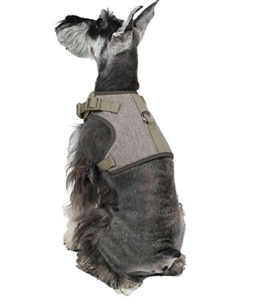 Martha Stewart Fashionable Tweed Dog Harness Grey Bowtie,XX-Small - Midtown Bargains
