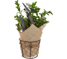 Set of (3) 11" Potted Herbs with Burlap by Valerie Lavender, - Midtown Bargains
