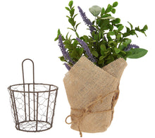 Set of (3) 11" Potted Herbs with Burlap by Valerie Lavender, - Midtown Bargains