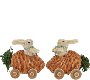 Set of 2 Bunnies Driving Veggie Cars by Valerie Carrot, - Midtown Bargains