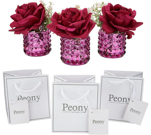 Set of 3 Mini Rose & Foliage Arrangements with Gift Bags by Peony Raspberry, - Midtown Bargains