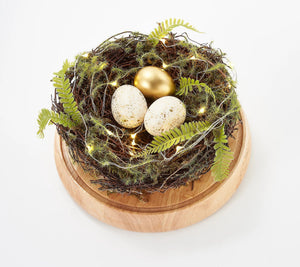 Martha Stewart Illuminated Spring Nest Cloche - Midtown Bargains
