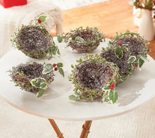 Set of (6) 5" Frosted Bird Nests with Clips by Valerie - Midtown Bargains