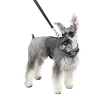 Martha Stewart Reflective Dog Harness w/ Matching Lead Grey	X-Small - Midtown Bargains